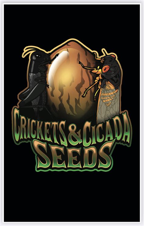 crickets and cicadas band